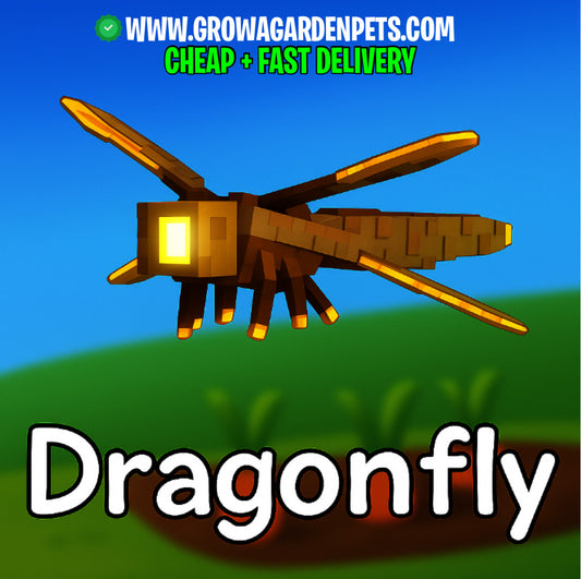 Dragonfly Grow A Garden
