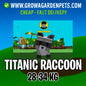 Titanic Raccoon Grow a Garden