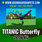 Titanic Butterfly Grow a Garden