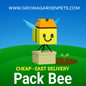 Pack Bee Grow A Garden